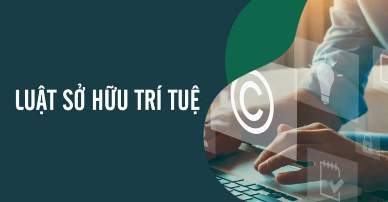 Các nội dung cần được tra cứu khi đăng ký sở hữu trí tuệ