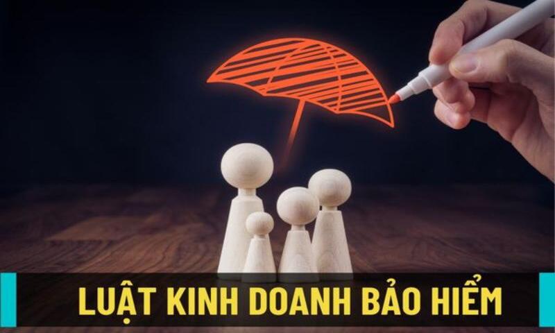 Luật kinh doanh về bảo hiểm đang được áp dụng ra sao?