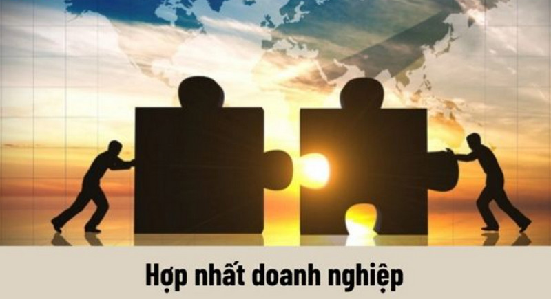 Quy trình hợp nhất các doanh nghiệp theo quy định