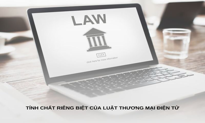 Tính chất riêng biệt của luật thương mại điện tử