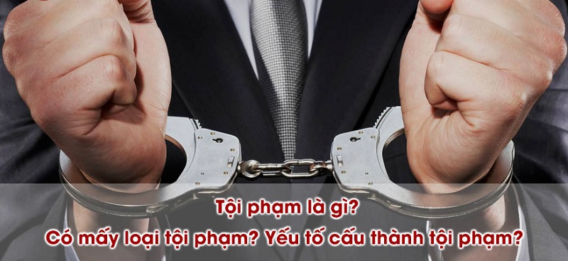 Tính thống nhất các yếu tố cấu thành của vi phạm pháp luật là nguyên tắc quan trọng